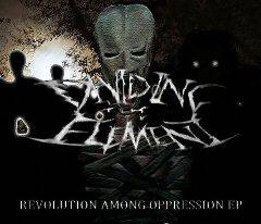 Dividing The Element : Revolution Among Oppresion